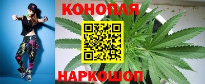 амф Будённовск