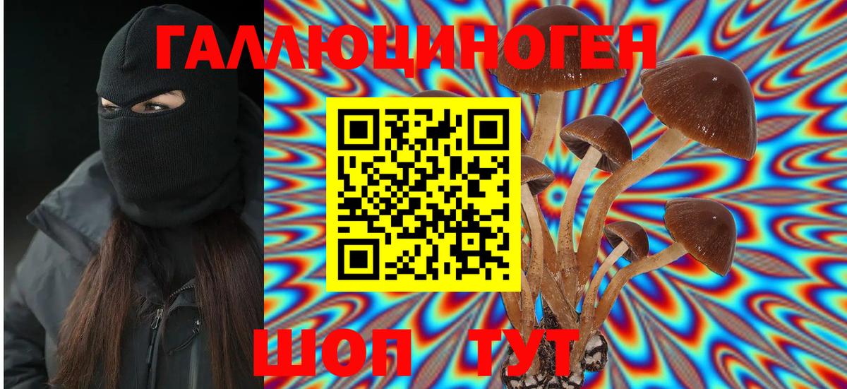 Псилоцибиновые грибы MAGIC MUSHROOMS Берёзовский