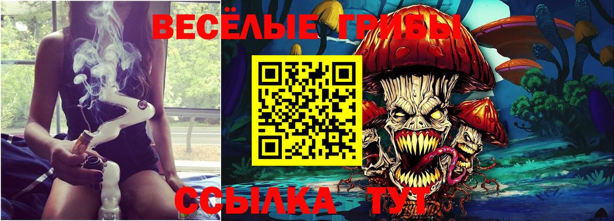 Галлюциногенные грибы MAGIC MUSHROOMS  Берёзовский  Галлюциногенные грибы Cubensis 