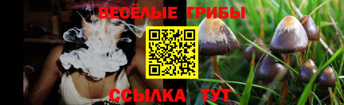 Псилоцибиновые грибы GOLDEN TEACHER  Вход с VPN  Берёзовский 